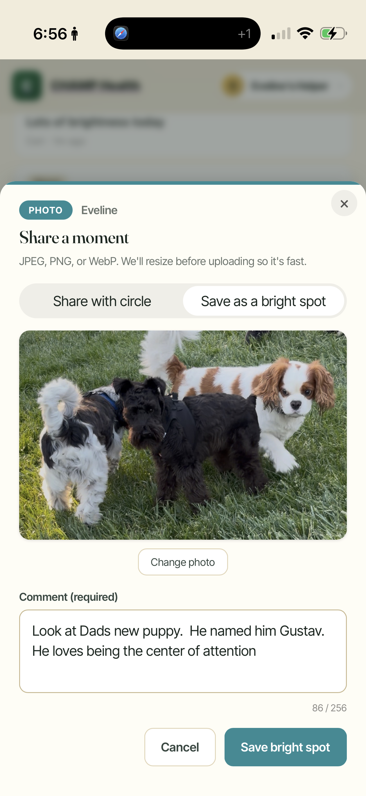 Saving a bright spot photo in CHAMP
